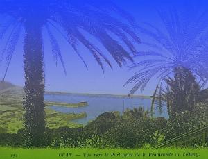 Promenade de l'etang